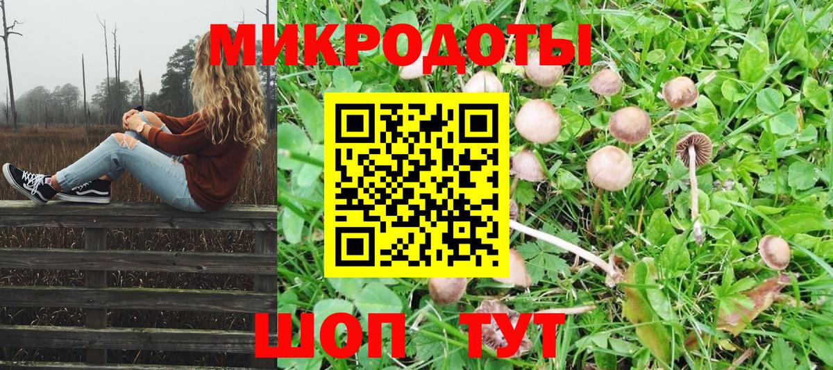 Егорьевск  где купить   Вход с VPN  Псилоцибиновые грибы Psilocybe 